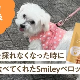 食事を採れなくなった時に唯一食べてくれたSmileyペロッて