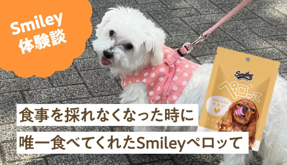 食事を採れなくなった時に唯一食べてくれたSmileyペロッて